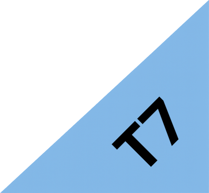 T7