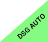 dsg-auto.png